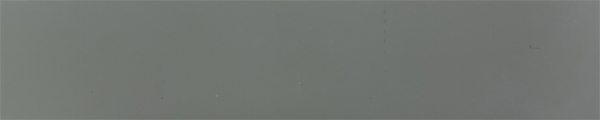 20006